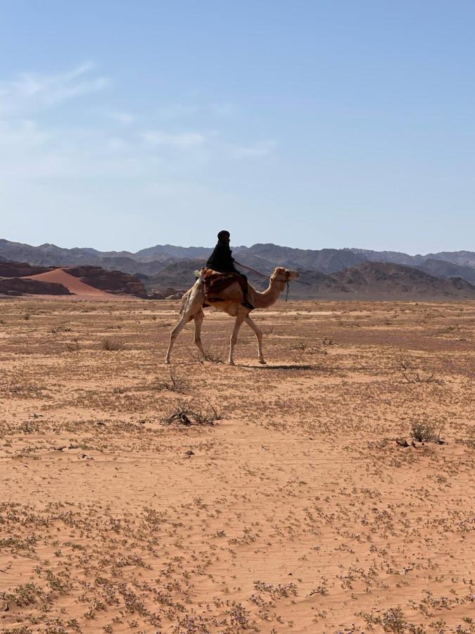 Wadi Rum Desert Camp Экстерьер фото
