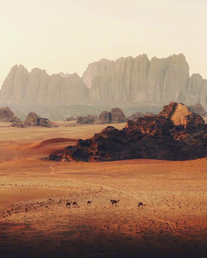Wadi Rum Desert Camp Экстерьер фото